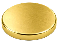 Brushed Gold PVD
