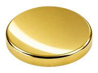 Polished Gold PVD
